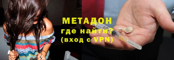 хмурый Аркадак