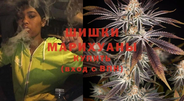 хмурый Аркадак