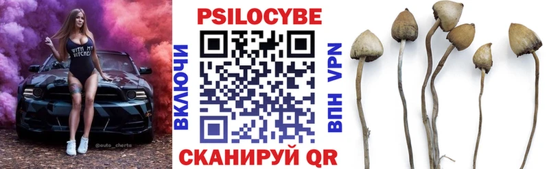 Псилоцибиновые грибы мухоморы  купить  сайты  Обнинск 