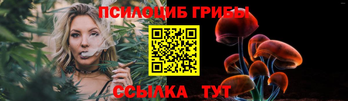 закладки  Галлюциногенные грибы Magic Shrooms  Вход с VPN  Обнинск 